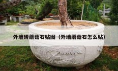 外墙砖蘑菇石贴图（外墙蘑菇石怎么贴）