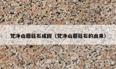 梵净山蘑菇石成因（梵净山蘑菇石的由来）