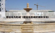 蘑菇石力形成（蘑菇石形成的模拟实验）