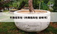 升降挡车柱（升降挡车柱 说明书）