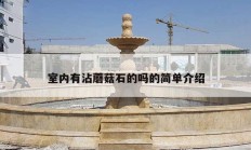 室内有沾蘑菇石的吗的简单介绍
