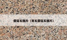 蘑菇石图片（青石蘑菇石图片）