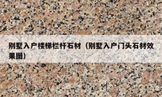 别墅入户楼梯栏杆石材（别墅入户门头石材效果图）