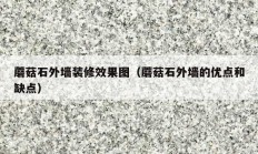 蘑菇石外墙装修效果图（蘑菇石外墙的优点和缺点）