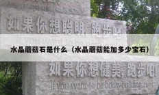 水晶蘑菇石是什么（水晶蘑菇能加多少宝石）