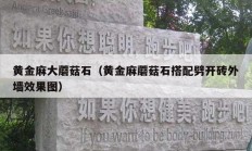 黄金麻大蘑菇石（黄金麻蘑菇石搭配劈开砖外墙效果图）