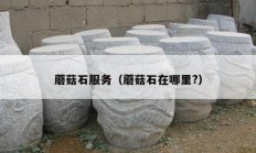 蘑菇石服务（蘑菇石在哪里?）
