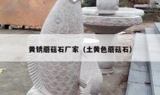 黄锈蘑菇石厂家（土黄色蘑菇石）