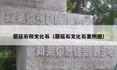 蘑菇石和文化石（蘑菇石文化石案例图）