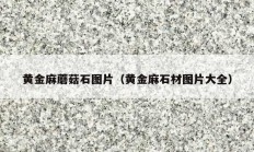 黄金麻蘑菇石图片（黄金麻石材图片大全）