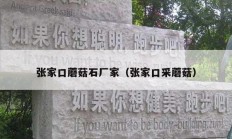 张家口蘑菇石厂家（张家口采蘑菇）