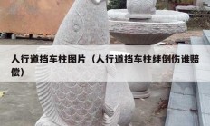 人行道挡车柱图片（人行道挡车柱绊倒伤谁赔偿）