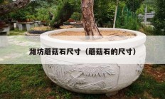 潍坊蘑菇石尺寸（蘑菇石的尺寸）