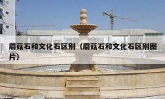 蘑菇石和文化石区别（蘑菇石和文化石区别图片）