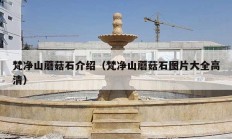 梵净山蘑菇石介绍（梵净山蘑菇石图片大全高清）