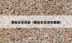 蘑菇石花岗岩（蘑菇石花池效果图）