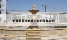 封开花花岗岩路沿石的简单介绍