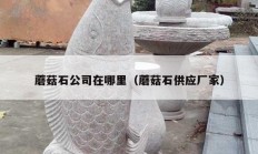 蘑菇石公司在哪里（蘑菇石供应厂家）