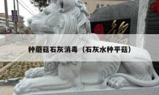 种蘑菇石灰消毒（石灰水种平菇）