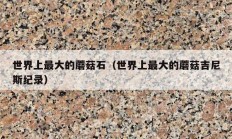 世界上最大的蘑菇石（世界上最大的蘑菇吉尼斯纪录）