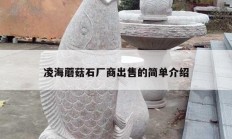 凌海蘑菇石厂商出售的简单介绍
