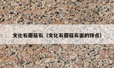 文化石蘑菇石（文化石蘑菇石面的特点）