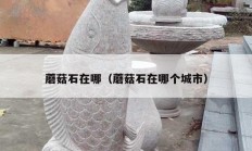 蘑菇石在哪（蘑菇石在哪个城市）