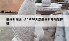 蘑菇石贴面（15×30天然蘑菇石外墙怎样贴）