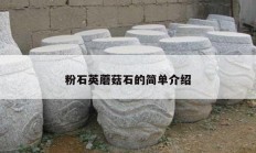 粉石英蘑菇石的简单介绍