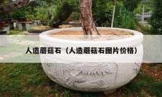 人造蘑菇石（人造蘑菇石图片价格）