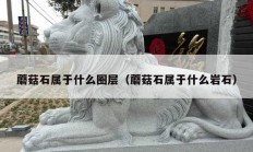 蘑菇石属于什么圈层（蘑菇石属于什么岩石）