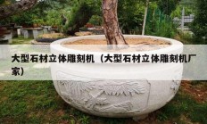 大型石材立体雕刻机（大型石材立体雕刻机厂家）
