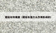 蘑菇石效果图（蘑菇石是什么作用形成的）