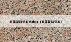五莲花路沿石出水口（五莲花路牙石）