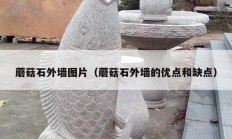 蘑菇石外墙图片（蘑菇石外墙的优点和缺点）
