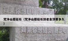 梵净山蘑菇石（梵净山蘑菇石到老金顶要多久）