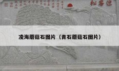 凌海蘑菇石图片（青石蘑菇石图片）
