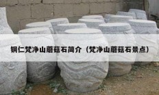 铜仁梵净山蘑菇石简介（梵净山蘑菇石景点）