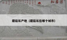 蘑菇石产地（蘑菇石在哪个城市）