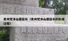贵州梵净山蘑菇石（贵州梵净山蘑菇石的形成过程）