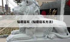 贴蘑菇石（贴蘑菇石方法）