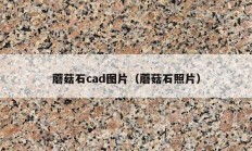 蘑菇石cad图片（蘑菇石照片）