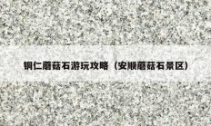 铜仁蘑菇石游玩攻略（安顺蘑菇石景区）