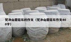 梵净山蘑菇石的作文（梵净山蘑菇石作文400字）