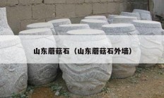 山东蘑菇石（山东蘑菇石外墙）