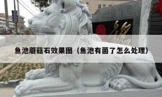 鱼池蘑菇石效果图（鱼池有菌了怎么处理）