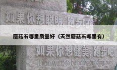 蘑菇石哪里质量好（天然蘑菇石哪里有）