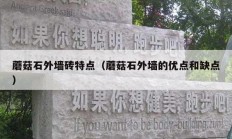 蘑菇石外墙砖特点（蘑菇石外墙的优点和缺点）