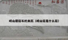 崂山蘑菇石的来历（崂山菇是什么菇）