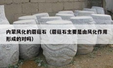 内蒙风化的蘑菇石（蘑菇石主要是由风化作用形成的对吗）